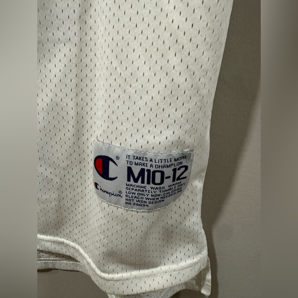 Champion Tune Squad Space Jam TAZ Basketball Jersey - Picture 3 of 9